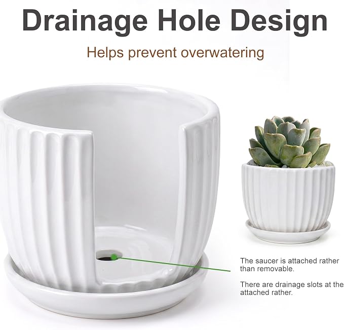 White Plant Pots, Ceramic Flower Pot Set of 3 - Image 4