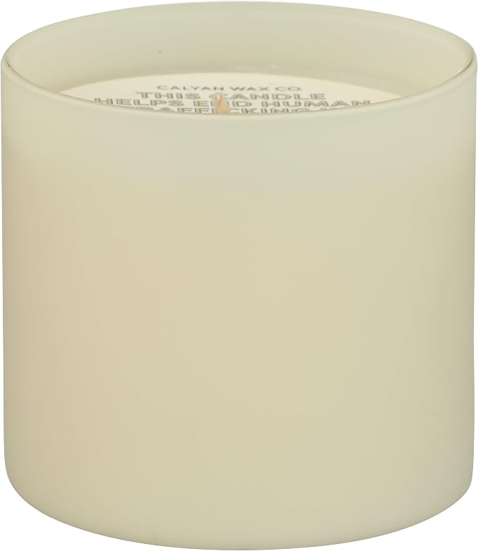 Dignity Series Aspen & Fog Scented Candle - Image 4