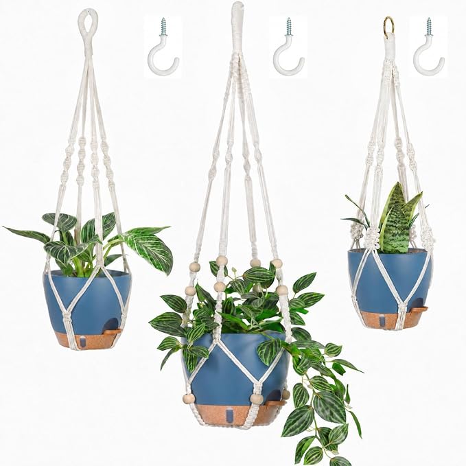 3 Set Self Watering Hanging Planter by Bouqlife