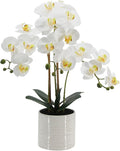 Fake Orchid Plant 23" Tall, Realistic Touch Leaves, Potted Phalaenopsis by Unknown
