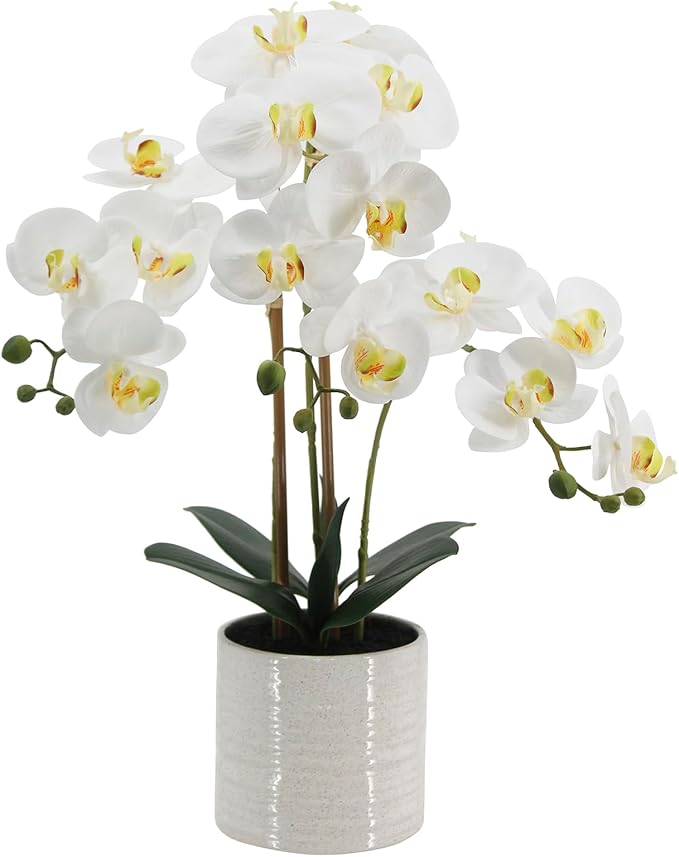 Fake Orchid Plant 23" Tall, Realistic Touch Leaves, Potted Phalaenopsis by Unknown