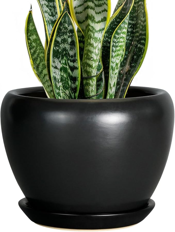 Ceramicfor Ceramic Planter Pot by Ceramicfor