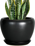 Ceramicfor Ceramic Planter Pot by Ceramicfor