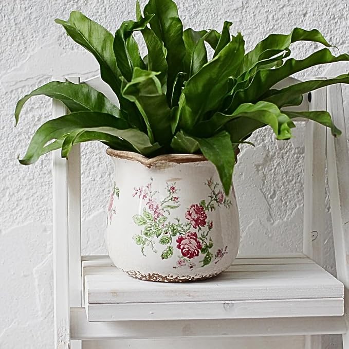 Xiaan Jiaju Shabby Chic Flower Pot, 6.11 Inch Ceramic Planter - Image 8