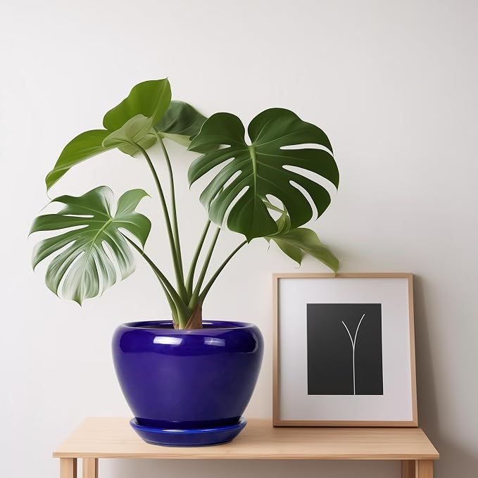 Ceramicfor 6 Inch Plant Pot - Image 8