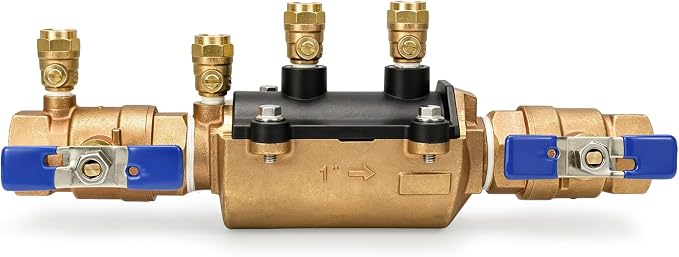 1" 350 Double Check Backflow Preventer | Double Check Valve Assembly, Prevent by WelcometoSnooweerin