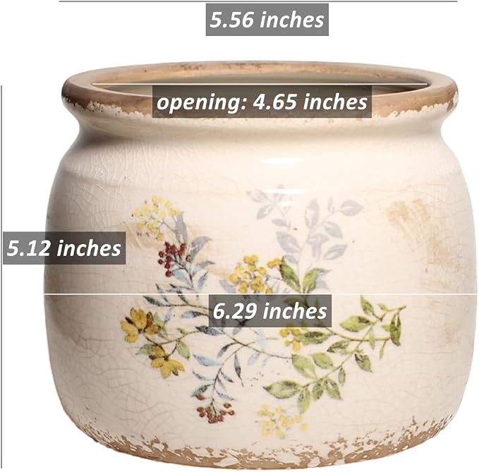 Xiaan Jiaju Ceramic Pots for Plants, Cottage Rustic Clay Flower Pots & Vase | - Image 7