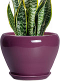 Ceramicfor Ceramic Planter by Ceramicfor