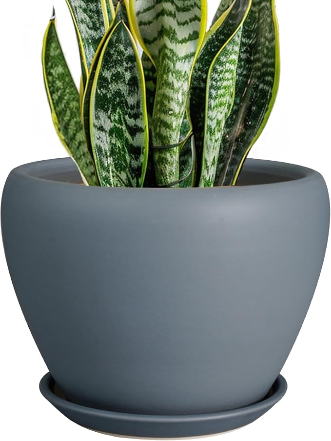Ceramicfor Ceramic Pot for Plants, 8 Inch Plant Pot, Matte Gray | Plant Pots by Ceramicfor