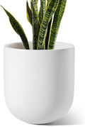 LE TAUCI 10 Inch Plant Pot, Ceramic Pots by LETAUCI