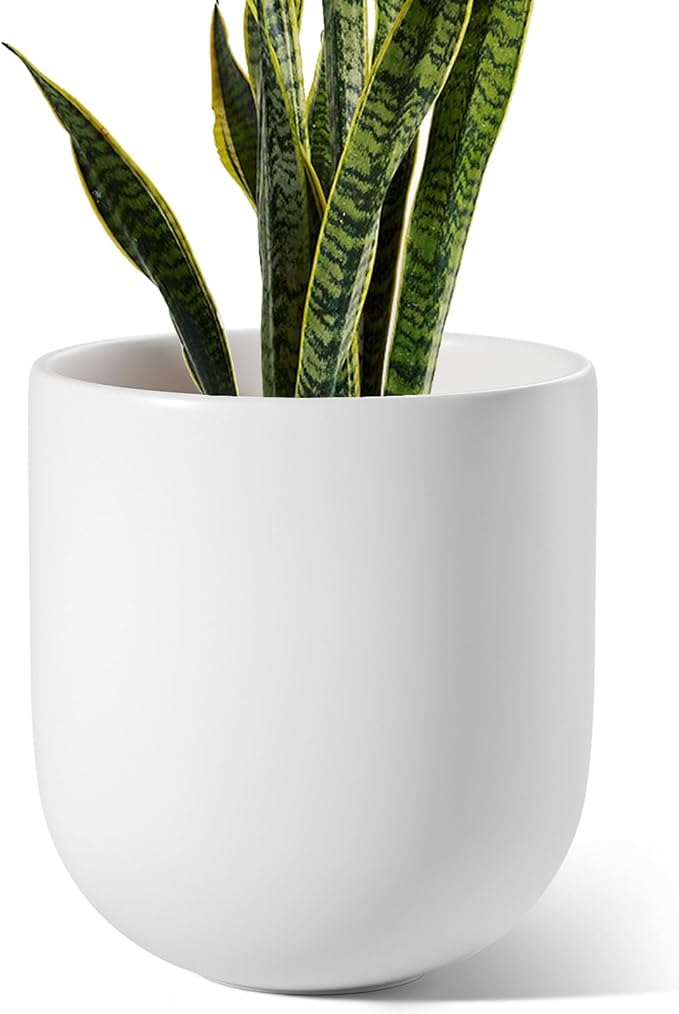 LE TAUCI 10 Inch Plant Pot, Ceramic Pots by LETAUCI