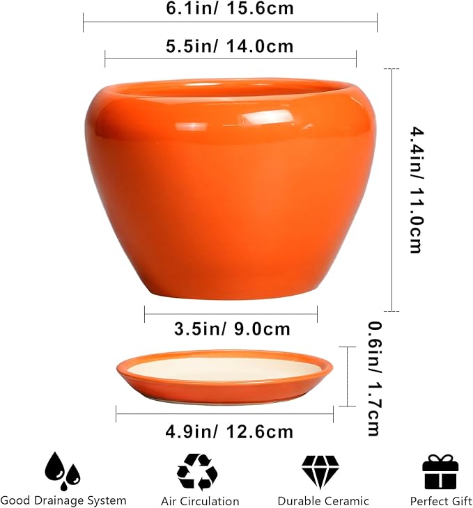Ceramicfor Ceramic Plant Pot 6 Inch - Image 3