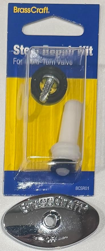 Single Pack - Complete Valve Repair Kits by Unknown