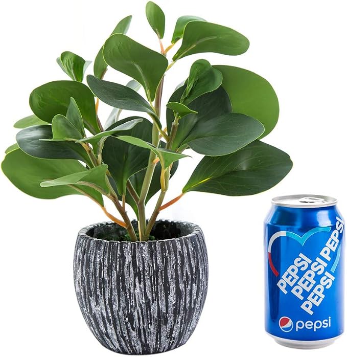 AlphaAcc Fake Faux Fiddle Leaf Fig Cement Planter Housewarming Desk Decor | - Image 9