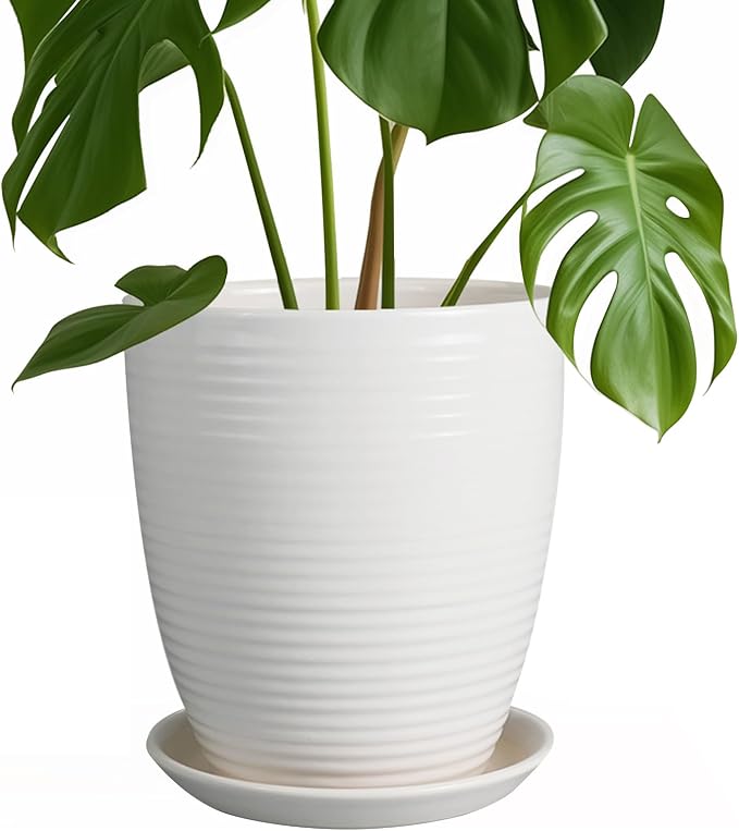 8 Inch Ceramic Planter Pot Round Plant Pot by EPFamily