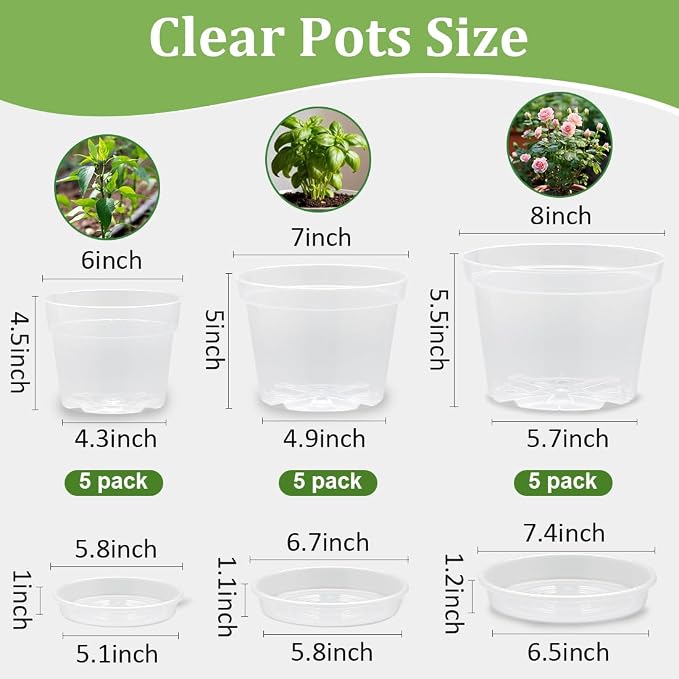 RooTrimmer 15 Pack 8/7/6 Inch Clear Nursery Pots - Image 2