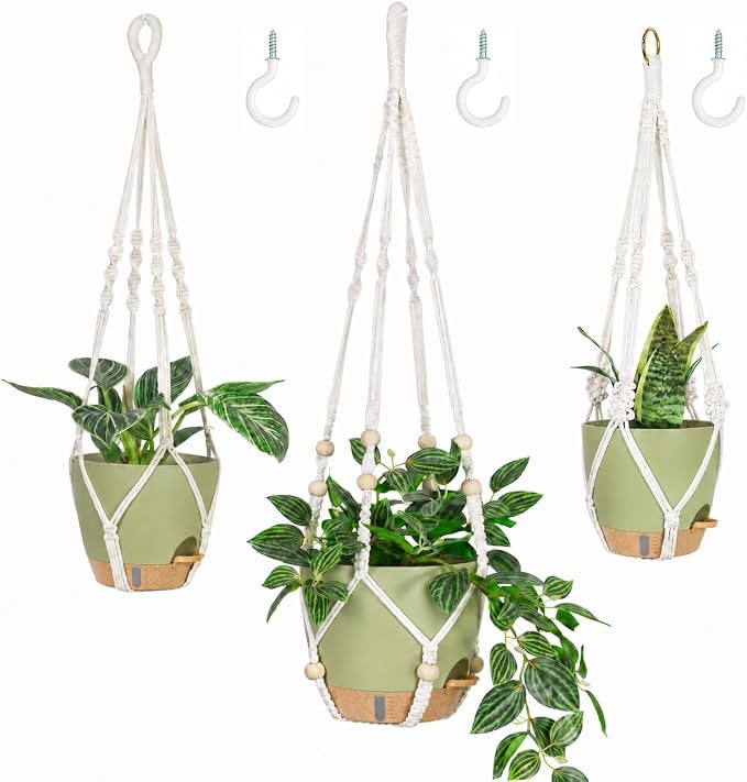 Bouqlife 3 Pack Hanging Planters by Bouqlife