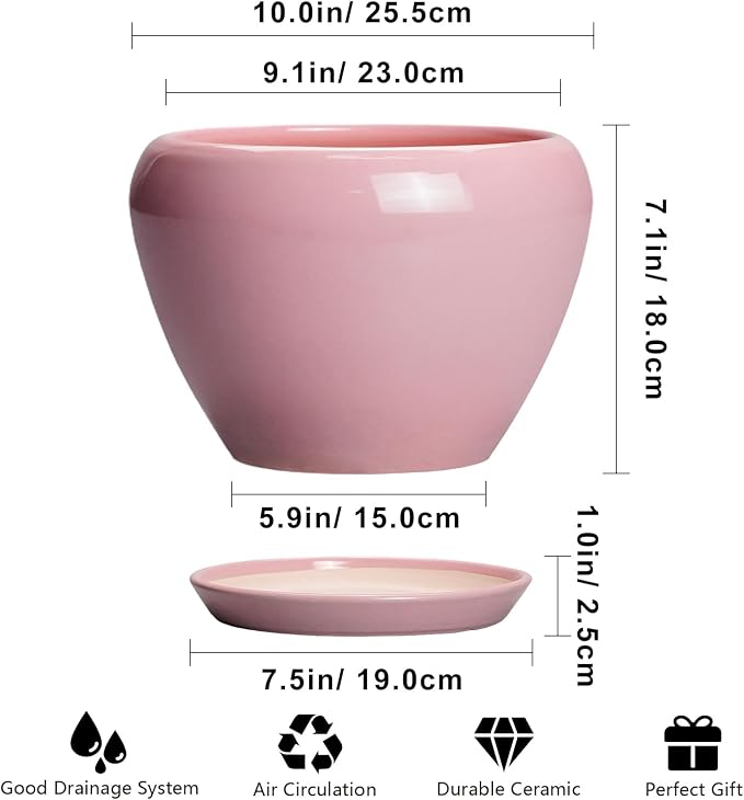 Ceramicfor 10 Inch Plant Pot - Image 3