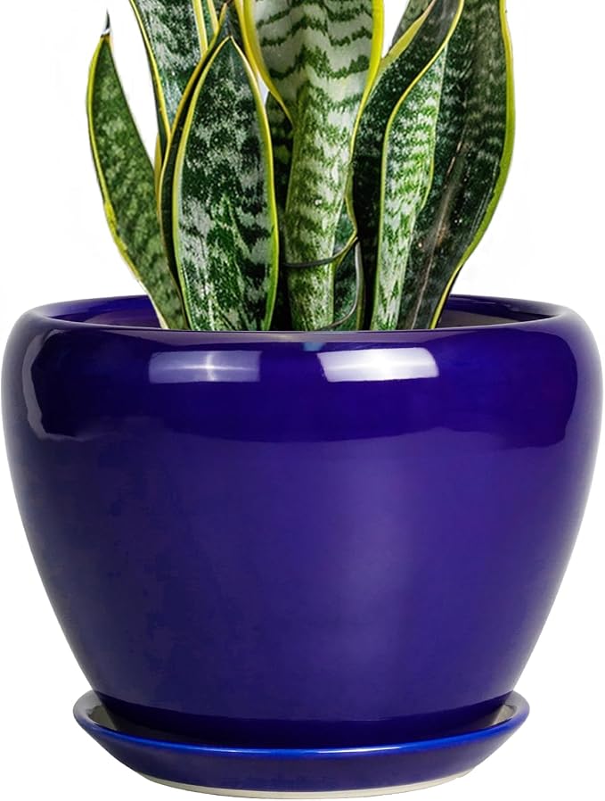 Ceramicfor Ceramic Plant Pot 8 Inch, Planter by Ceramicfor