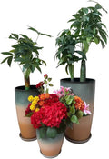24, 11 Inch Large Plastic Planters by MinCHI257