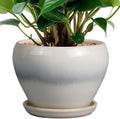 Ceramicfor Planter Pot 6 Inch by Ceramicfor