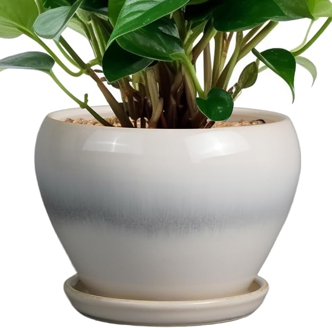 Ceramicfor Planter Pot 6 Inch by Ceramicfor