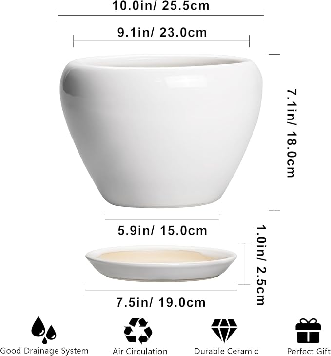 Ceramicfor Ceramic Pot for Plants - Image 3