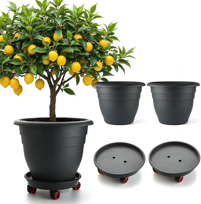 RooTrimmer 3 Pack 16 Inch Rolling Large Plant Pots | Heavy duty plastic planters by RooTrimmer
