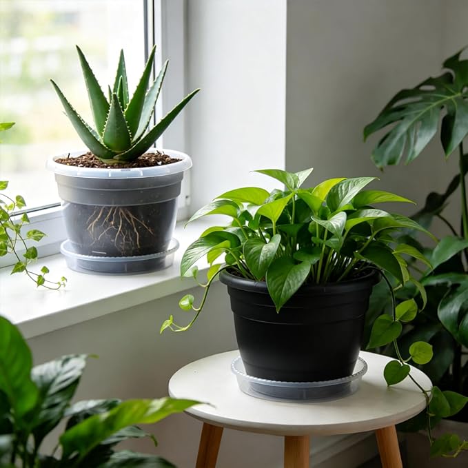 RooTrimmer 8 Inch Clear Nursery Pots - Image 5