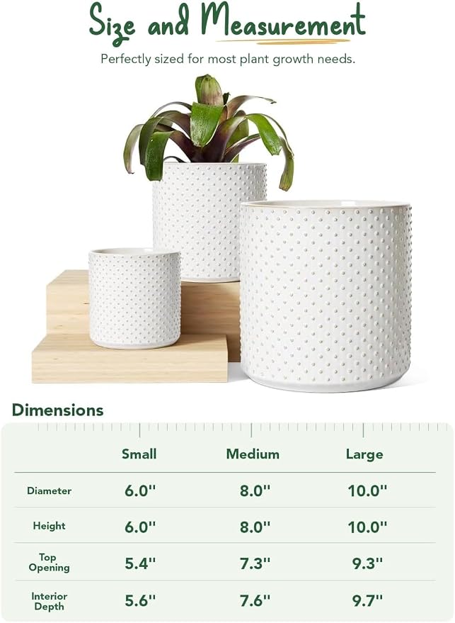 LE TAUCI 10+8+6 Inch Ceramic Pots - Image 5