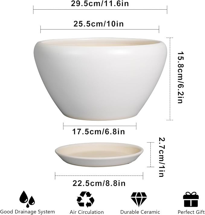 Ceramicfor Ceramic Planter for Indoor Plants - Image 3