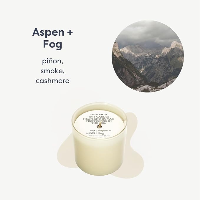 Dignity Series Aspen & Fog Scented Candle - Image 2