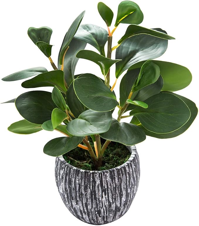 AlphaAcc Fake Faux Fiddle Leaf Fig Cement Planter Housewarming Desk Decor | by AlphaAcc