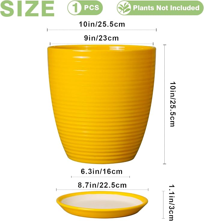 10 Inch Plant Pot - Image 3