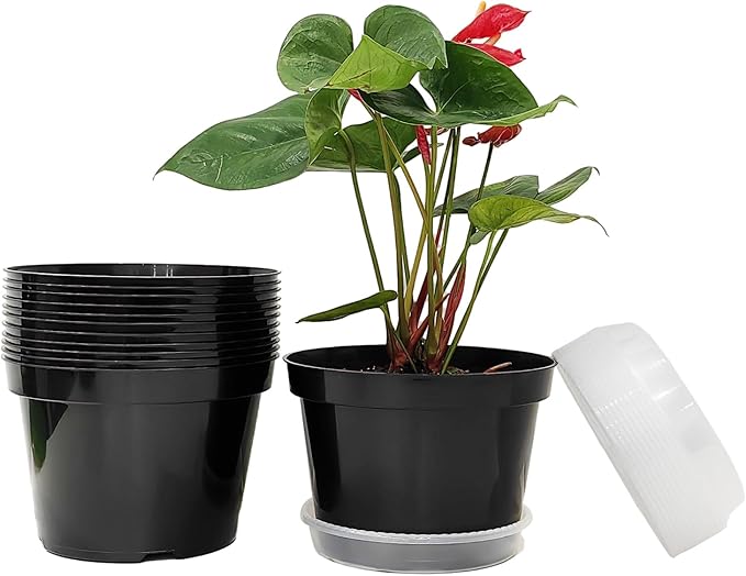 RooTrimmer 12 Pack Plant Pots, 8 Inch Plant Planter by RooTrimmer