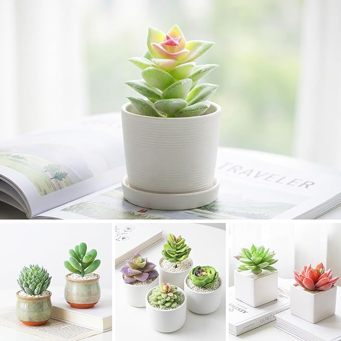 HappyHapi 12 Pcs Artificial Succulents, Mini Fake Plants Unpotted | Flocked - Image 5