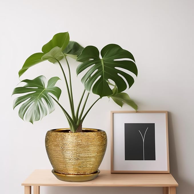 Ceramicfor Indoor Plant Pot 6 Inch - Image 7