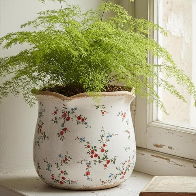 Ceramic Pots for Plants, Vintage Rustic Plant Pot - Image 4
