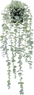 COCOBOO 1pcs Artificial Hanging Plants, Fake Potted Eucalyptus Faux Hanging by COCOBOO