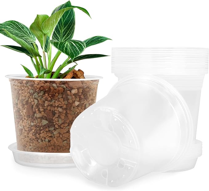FUIJOL 5 Inch Clear Nursery Pots by FUIJOL