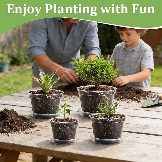 RooTrimmer 15 Pack 8/7/6 Inch Clear Nursery Pots - Image 6