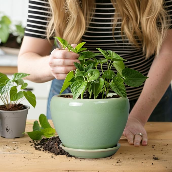 Ceramicfor 6 Inch Plant Pot - Image 6