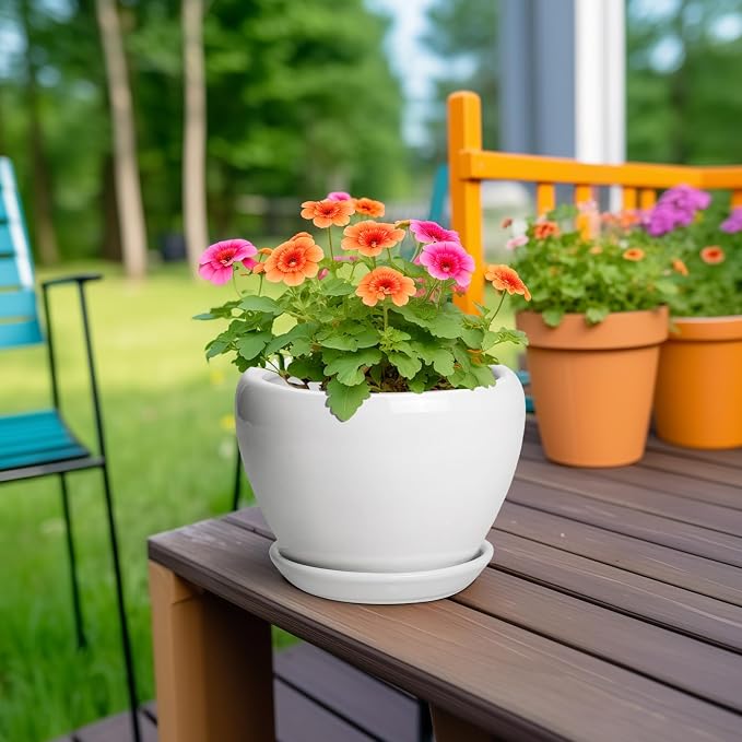 Ceramicfor Ceramic Pot for Plants - Image 4
