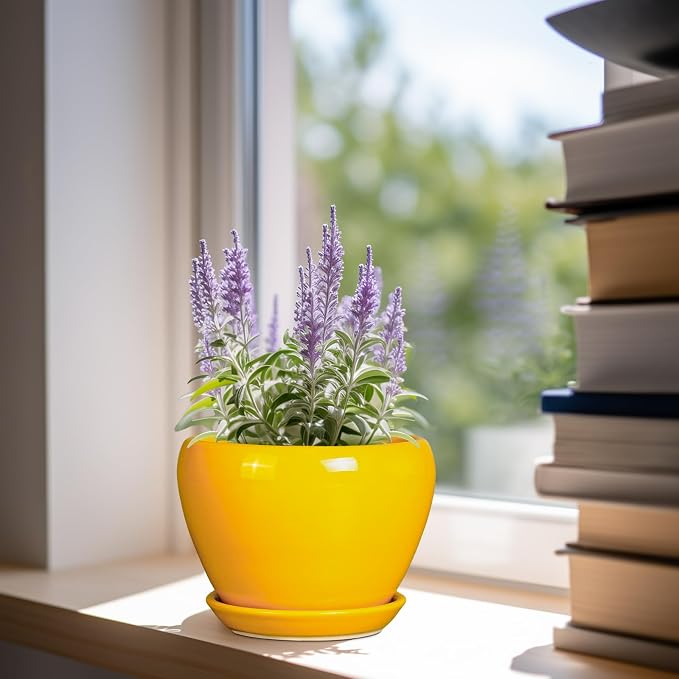 Ceramicfor Ceramic Pot for Plants - Image 2