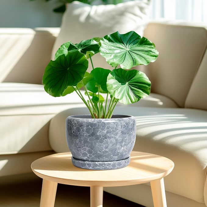SQOWL 8 inch Plant pots Indoor - Image 2