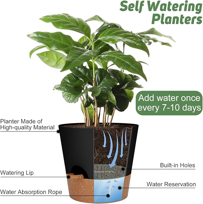 YNNICO 10-Inch Plant Pots, Self-Watering Planters - Image 5
