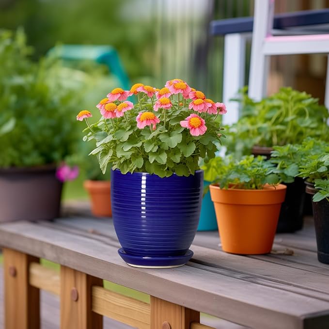 Ceramic Plant Pot - Image 4