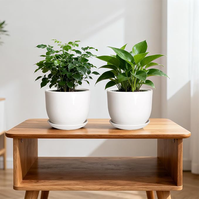 Ceramic Plant Pots, Ceramic Planter - Image 5