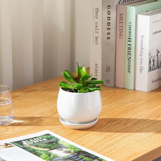 vancasso 3-Pack Ceramic Plant Pots, 3.7/4.8/6.2 Inch Indoor Planters - Image 9