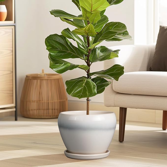 Ceramicfor Ceramic Planter - Image 2